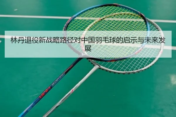 林丹退役新战略路径对中国羽毛球的启示与未来发展