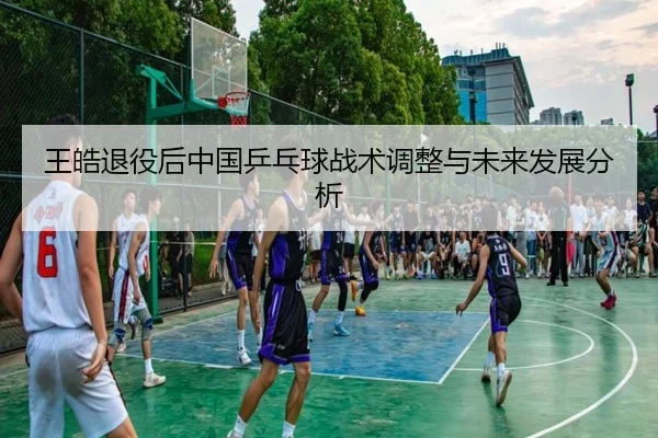 wang-hao-tui-yi-hou-zhong-guo-ping-pang-qiu-zhan-shu-tiao-zheng-yu-wei-lai-fa-zhan-fen-xi-2-905.jpg