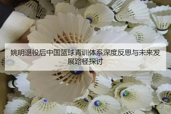 姚明退役后中国篮球青训体系深度反思与未来发展路径探讨