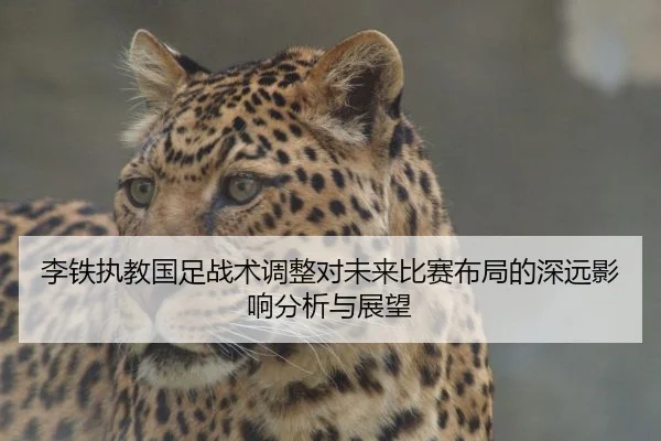 李铁执教国足战术调整对未来比赛布局的深远影响分析与展望