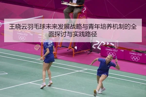 王晓云羽毛球未来发展战略与青年培养机制的全面探讨与实践路径